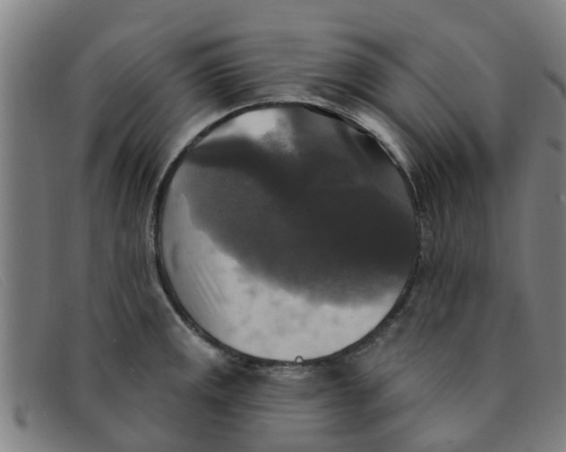 X0000091351141200708311511