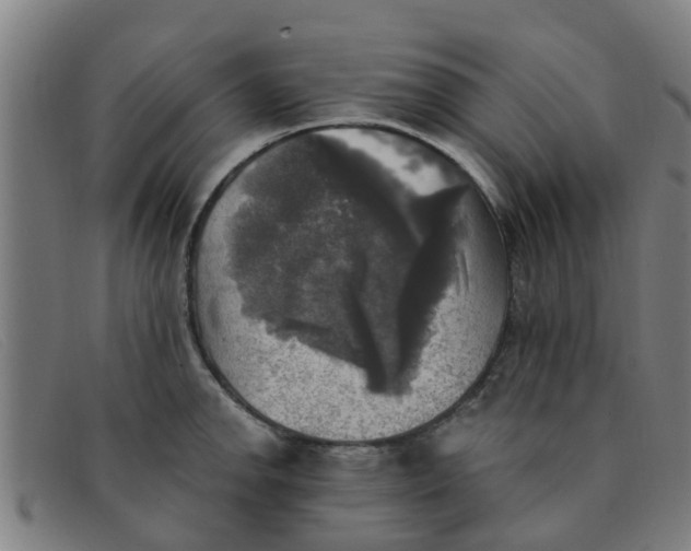 X0000091351142200708311511