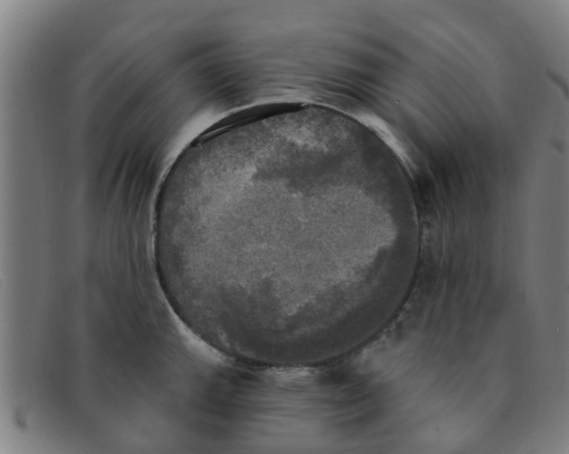 X0000091351143200708311511