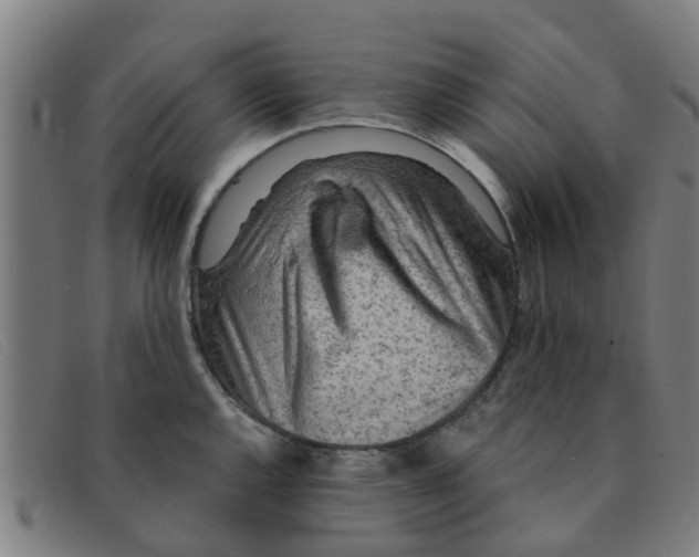 X0000091351144200708311511