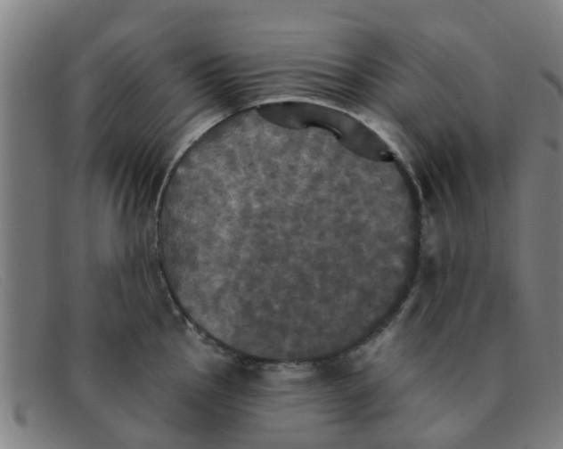 X0000091351145200708311511