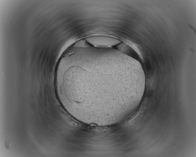 X0000091351146200708311511
