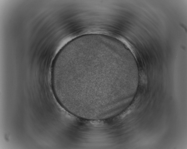 X0000091351147200708311511