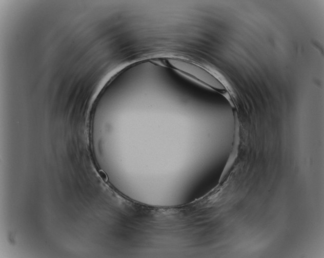 X0000091351148200708311511