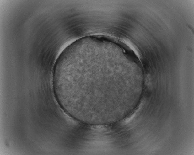 X0000091351149200708311511