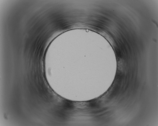 X0000091351150200708311511