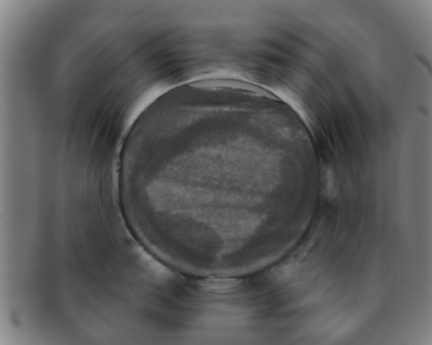 X0000091351151200708311511