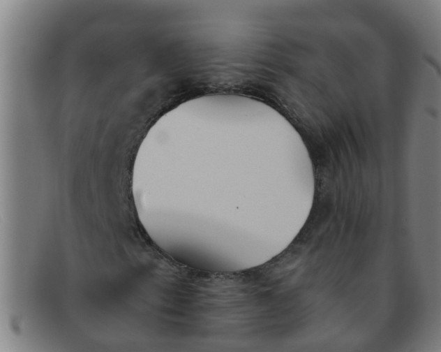 X0000091351153200708311510