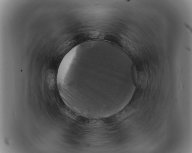 X0000091351154200708311510