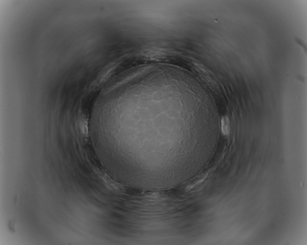 X0000091351155200708311510
