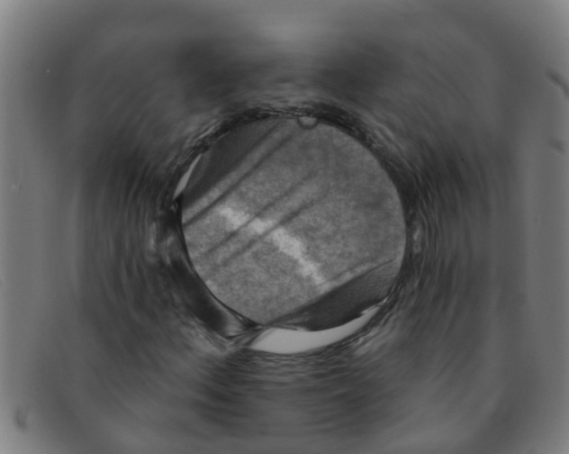X0000091351156200708311510