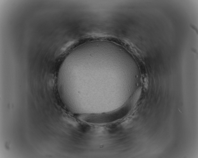 X0000091351157200708311510