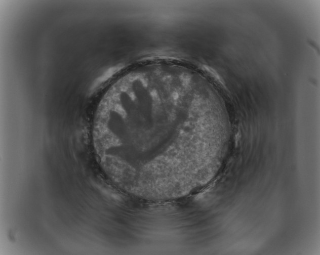 X0000091351159200708311510