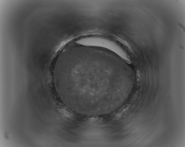 X0000091351160200708311510