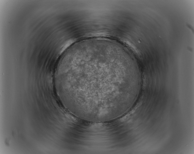 X0000091351162200708311510