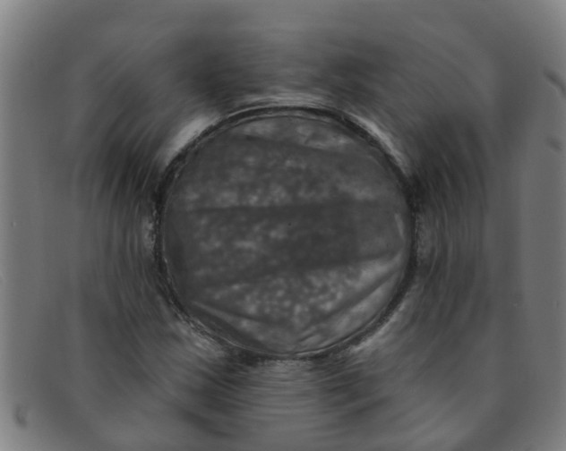 X0000091351163200708311510