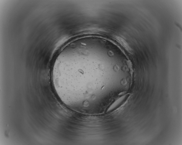 X0000091351164200708311510