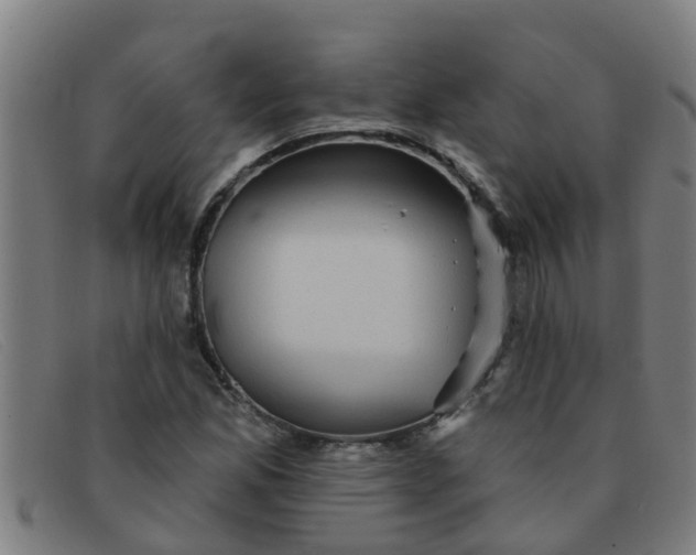 X0000091351165200708311510