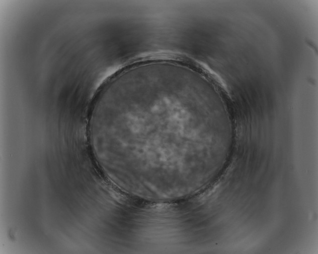 X0000091351166200708311510