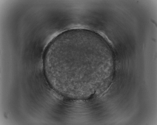 X0000091351167200708311510