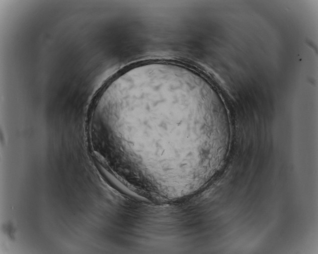 X0000091351168200708311510