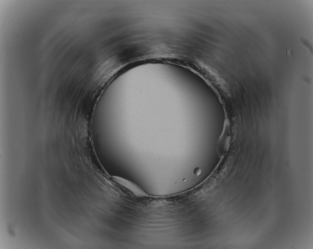 X0000091351169200708311510