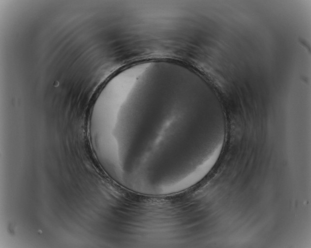X0000091351170200708311510