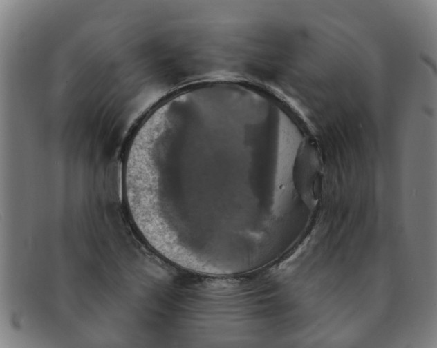 X0000091351171200708311510
