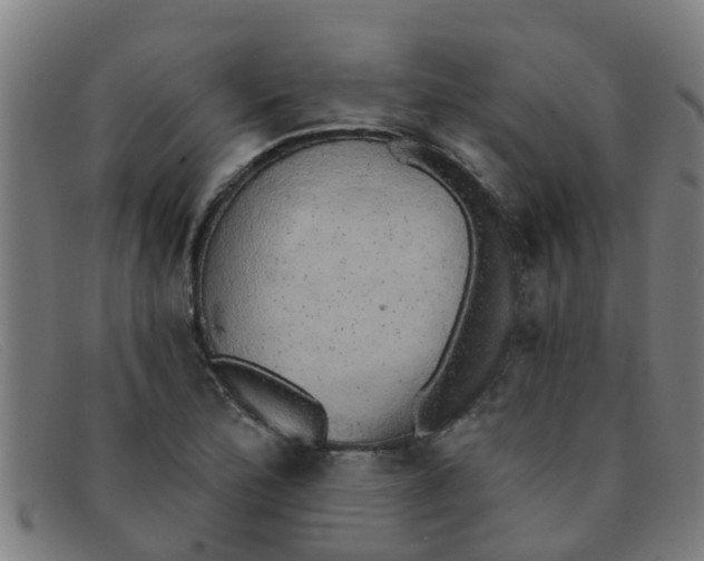 X0000091351172200708311510