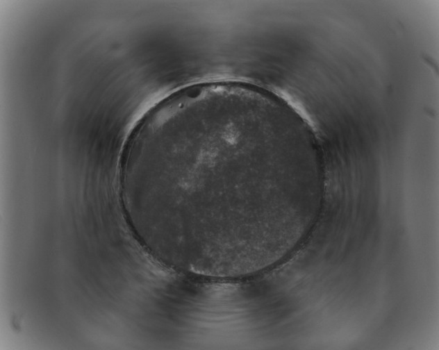 X0000091351173200708311510