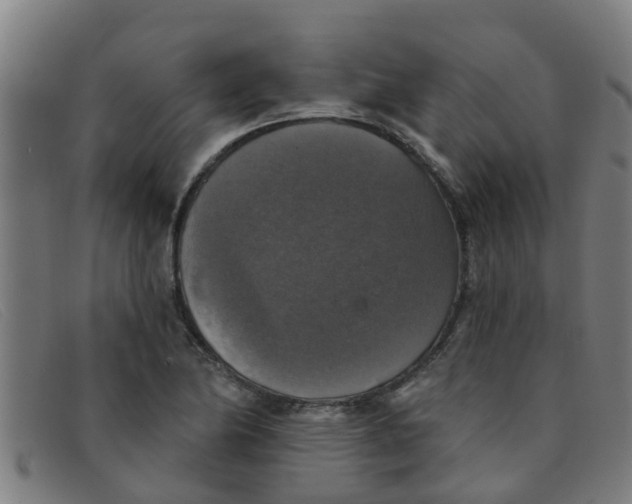 X0000091351174200708311510