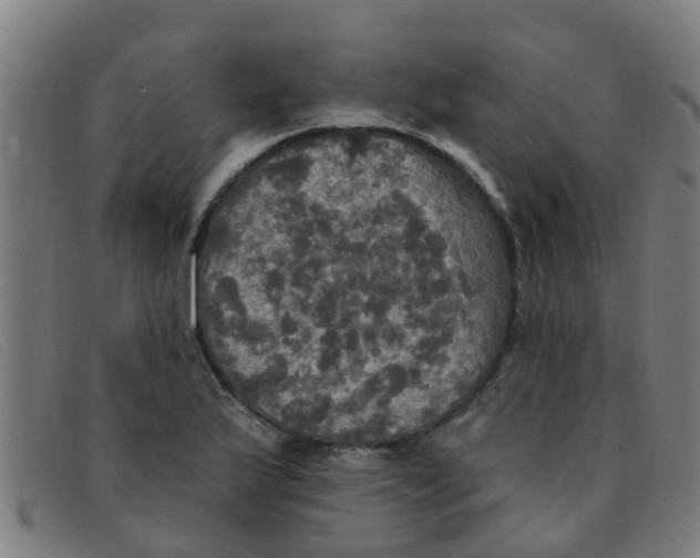 X0000091351175200708311510