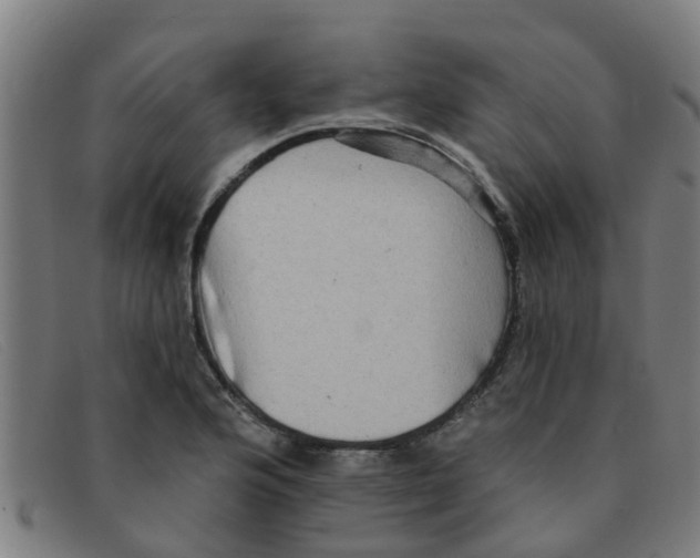 X0000091351176200708311510