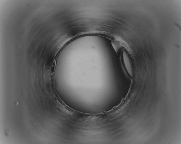 X0000091351177200708311510