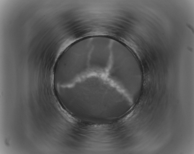 X0000091351179200708311510