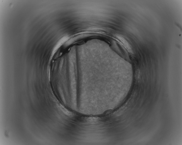 X0000091351180200708311510