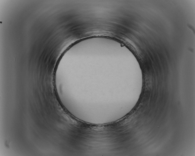 X0000091351182200708311510