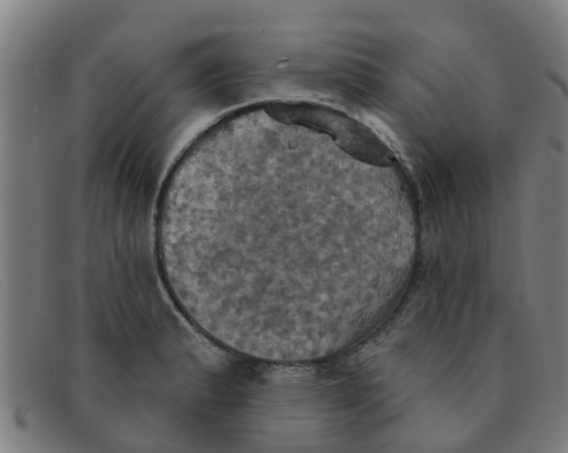X0000091351183200708311510