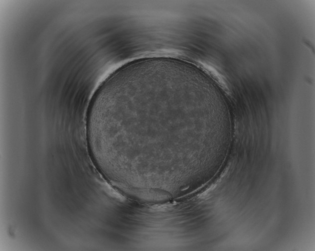 X0000091351184200708311510