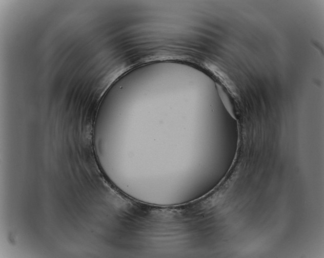 X0000091351185200708311510