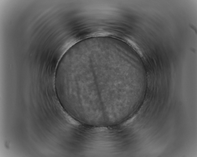 X0000091351186200708311510