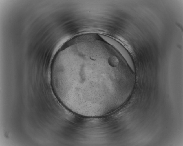 X0000091351188200708311510