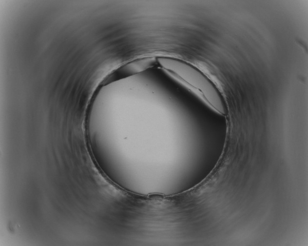 X0000091351189200708311510