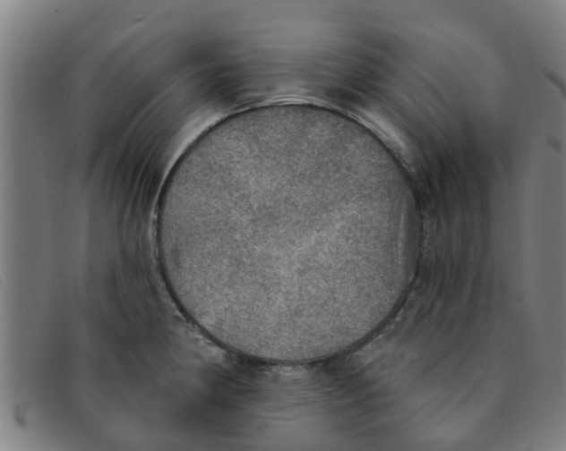 X0000091351190200708311510