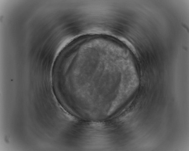 X0000091351191200708311510