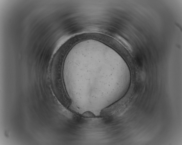 X0000091351192200708311510
