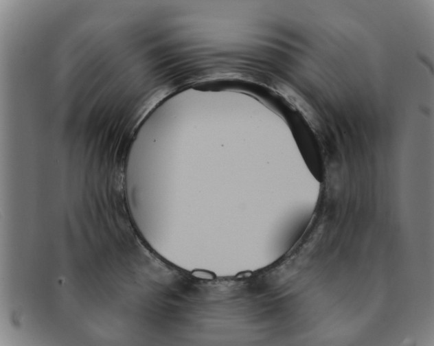 X0000091351193200708311510