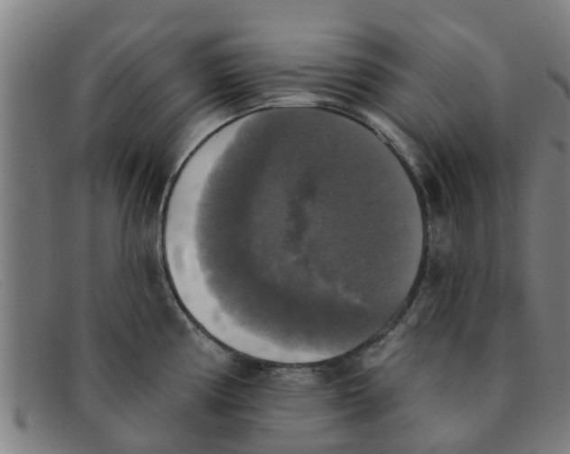X0000091351194200708311510