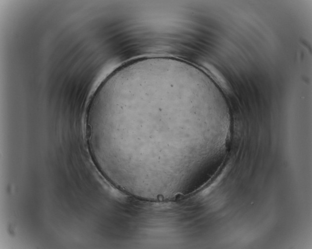 X0000091351196200708311510