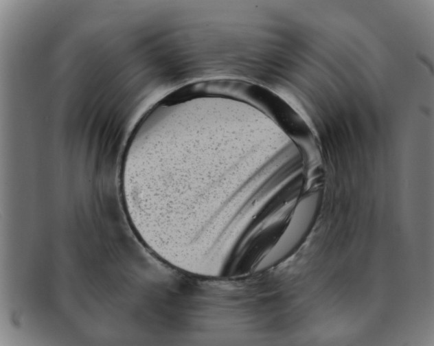 X0000091351197200708311510